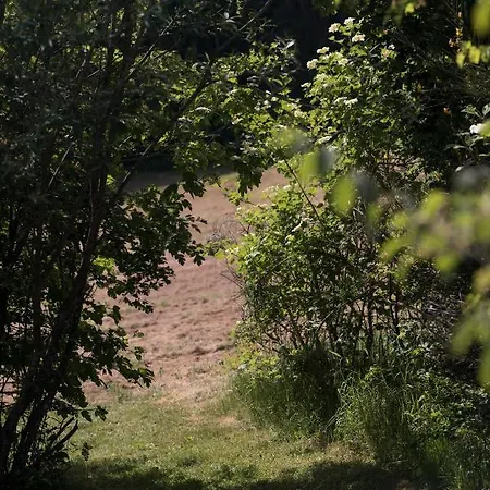 Ferienwohnung Schwalbennest Weinsheim  Buitenkant foto