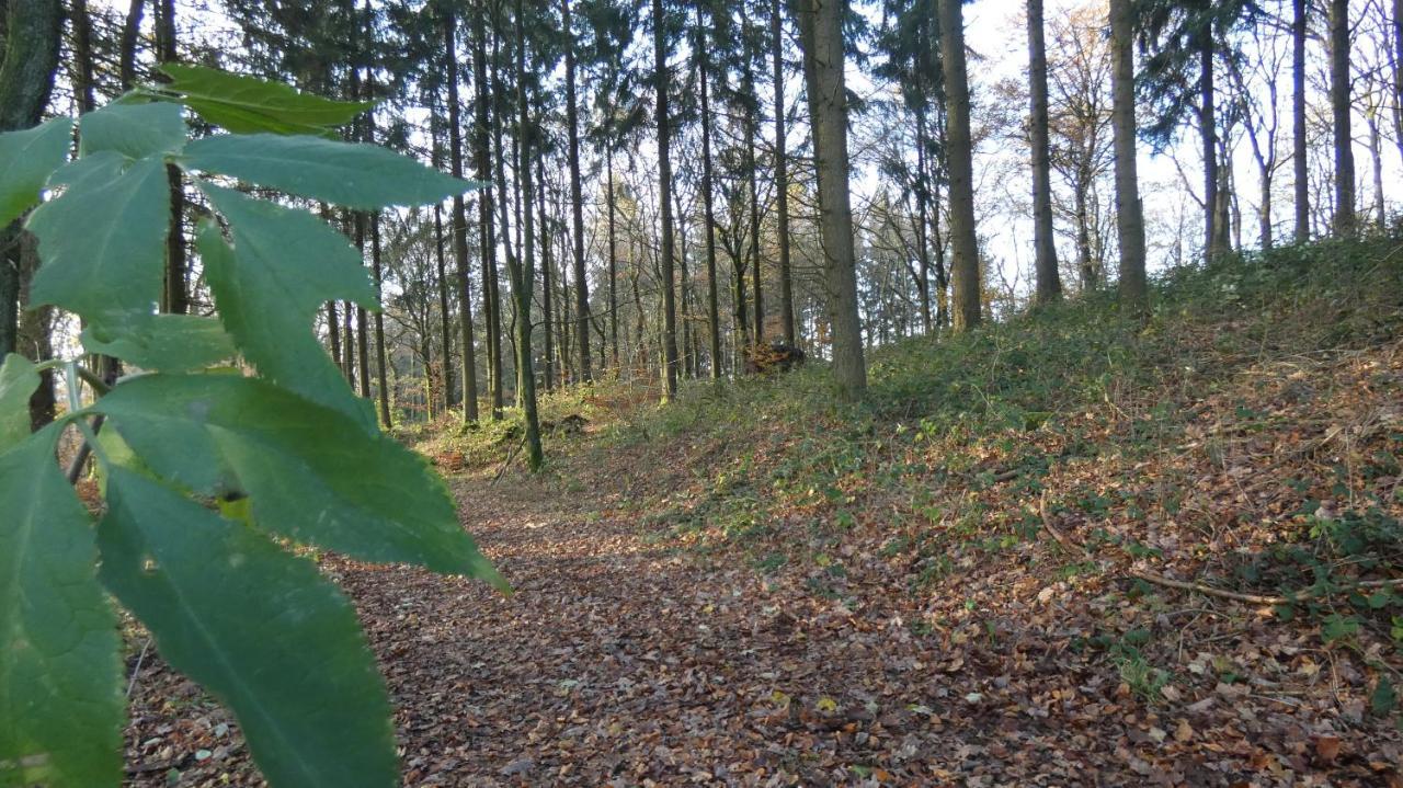 Schwalbennest Weinsheim (Bitburg-Prum)